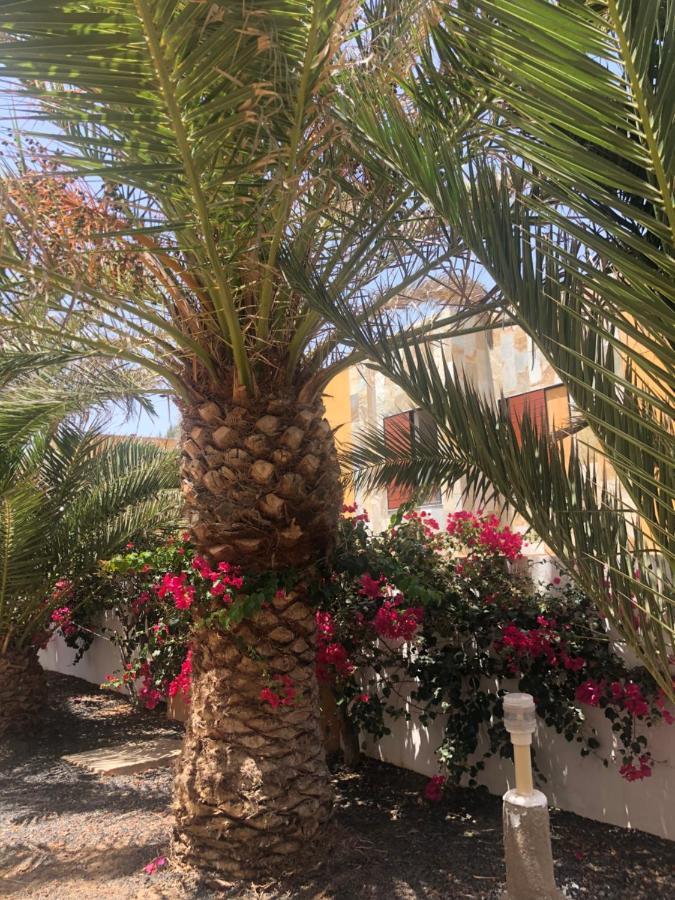 Apartamento Paradise Amaya Costa De Antigua Zewnętrze zdjęcie