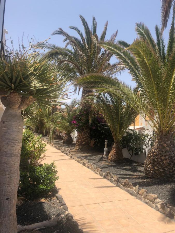 Apartamento Paradise Amaya Costa De Antigua Zewnętrze zdjęcie